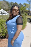 Sheer Sleeve Top - Z’Nor Avenue Boutique
